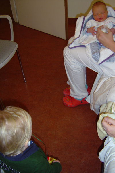 Image 7 of 56  -  43 kB